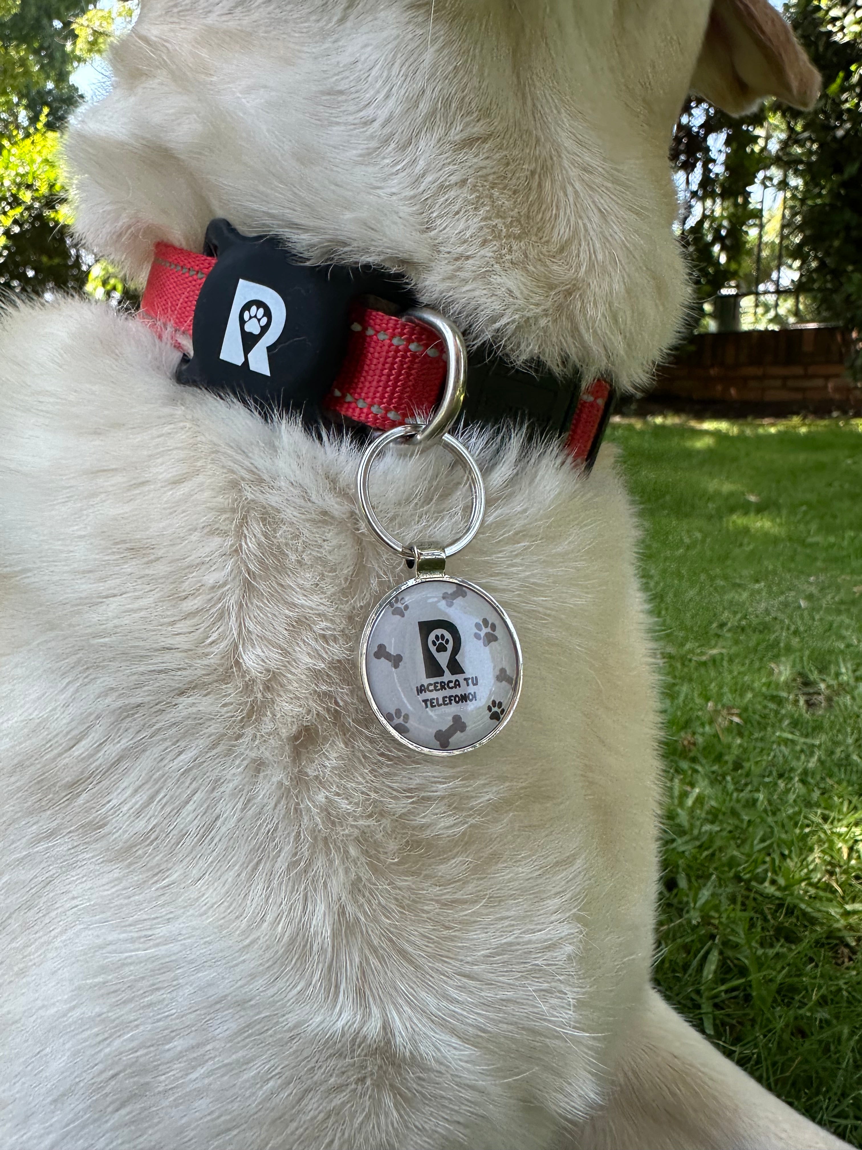 Pack GPS + Placa RastroPet