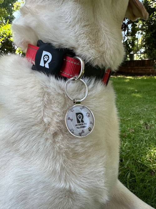 Pack GPS + Placa RastroPet